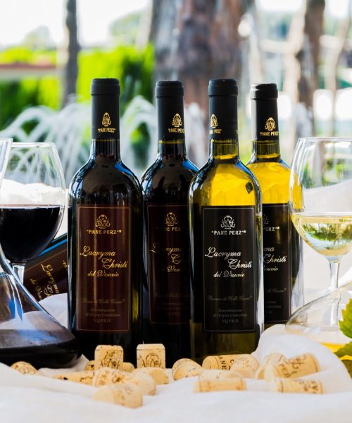 il_nostro_vino_royal vesuvio (9)